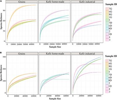 Zooming Into the Microbiota of Home-Made and Industrial Kefir Produced in Greece Using Classical Microbiological and Amplicon-Based Metagenomics Analyses